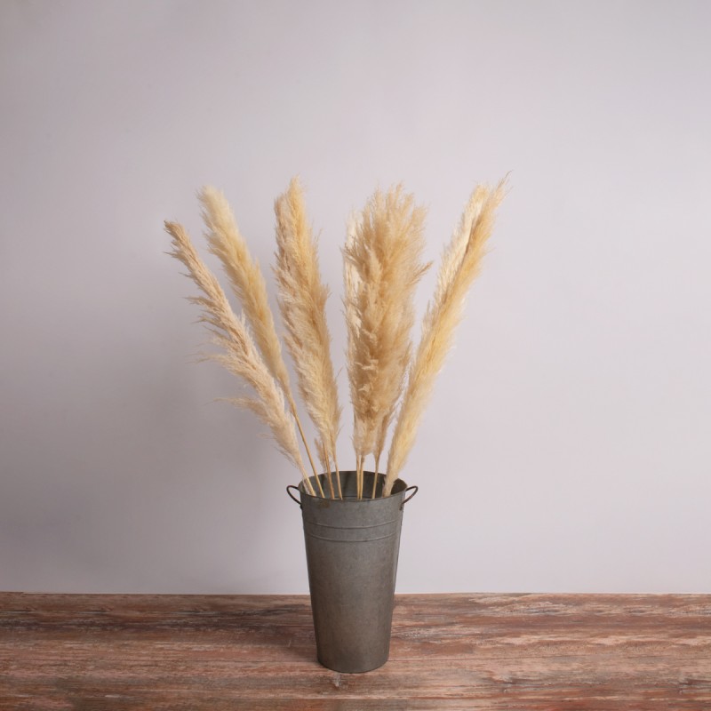 GloboStar® PAMPASGRASS 36509 Αποξηραμένο Φυτό Γρασίδι της Πάμπας - Μπουκέτο Διακοσμητικών Κλαδιών Μπεζ - Εκρού Υ120cm - Σετ 5 τμχ GloboStar® PAMPASGRASS 36509 Αποξηραμένο Φυτό Γρασίδι της Πάμπας - Μπουκέτο Διακοσμητικών Κλαδιών Μπεζ - Εκρού Υ120cm - Σετ 5 τμχ