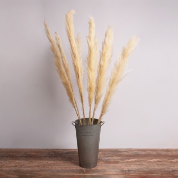 GloboStar® PAMPASGRASS 36510 Αποξηραμένο Φυτό Γρασίδι της Πάμπας - Μπουκέτο Διακοσμητικών Κλαδιών Μπεζ - Εκρού Υ150cm - Σετ 5 τμχ GloboStar® PAMPASGRASS 36510 Αποξηραμένο Φυτό Γρασίδι της Πάμπας - Μπουκέτο Διακοσμητικών Κλαδιών Μπεζ - Εκρού Υ150cm - Σετ 5 τμχ