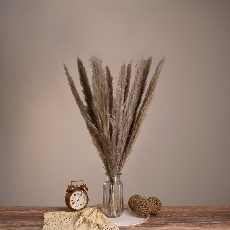 GloboStar® PAMPASGRASS 36511 Αποξηραμένο Φυτό Γρασίδι της Πάμπας - Μπουκέτο Διακοσμητικών Κλαδιών Καφέ - Γκρι Υ80cm - Σετ 10 τμχ GloboStar® PAMPASGRASS 36511 Αποξηραμένο Φυτό Γρασίδι της Πάμπας - Μπουκέτο Διακοσμητικών Κλαδιών Καφέ - Γκρι Υ80cm - Σετ 10 τμχ