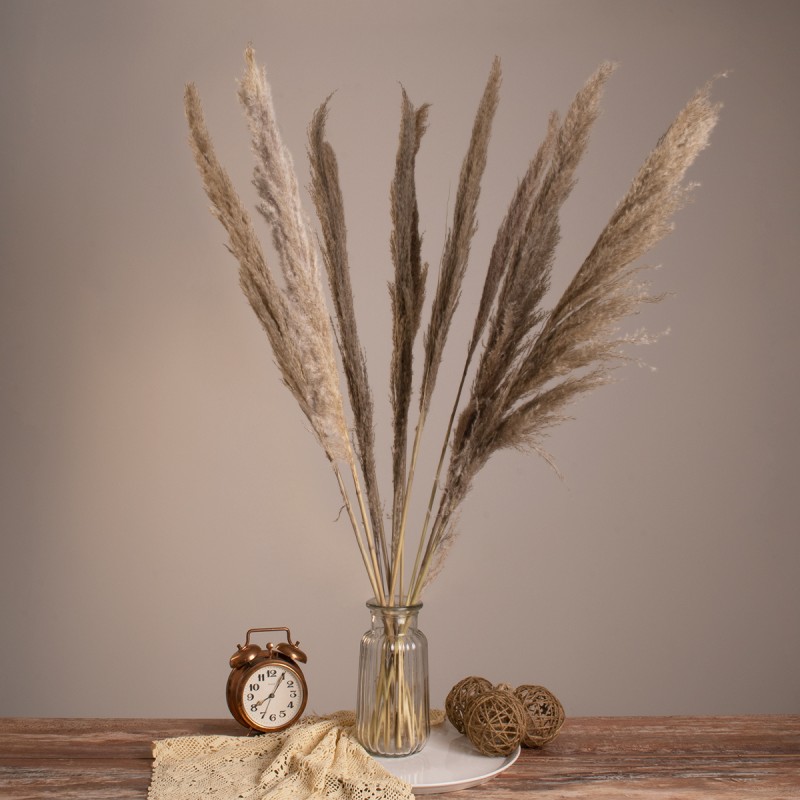 GloboStar® PAMPASGRASS 36512 Αποξηραμένο Φυτό Γρασίδι της Πάμπας - Μπουκέτο Διακοσμητικών Κλαδιών Καφέ - Γκρι Υ100cm - Σετ 10 τμχ GloboStar® PAMPASGRASS 36512 Αποξηραμένο Φυτό Γρασίδι της Πάμπας - Μπουκέτο Διακοσμητικών Κλαδιών Καφέ - Γκρι Υ100cm - Σετ 10 τμχ