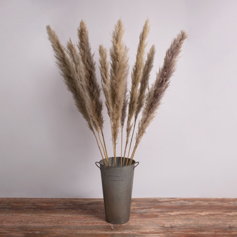 GLOBOSTAR® PAMPASGRASS 36514 Αποξηραμένο Διακοσμητικό Μπουκέτο Γρασίδι της Πάμπας - Καφέ - Μ20 x Π20 x Υ150cm - Πακέτο 5 Τεμαχίων GLOBOSTAR® PAMPASGRASS 36514 Αποξηραμένο Διακοσμητικό Μπουκέτο Γρασίδι της Πάμπας - Καφέ - Μ20 x Π20 x Υ150cm - Πακέτο 5 Τεμαχίων