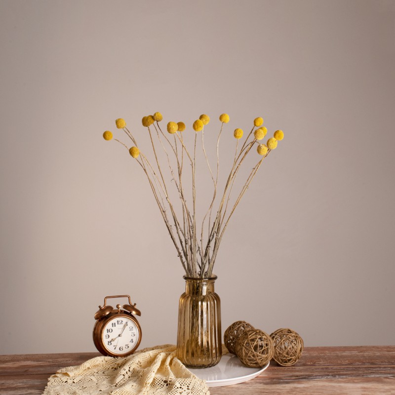 GloboStar® GRASPEDIA 36532 Αποξηραμένο Φυτό Κρασπέδια Φ2cm - Μπουκέτο Διακοσμητικών Κλαδιών Μπεζ - Κίτρινο Υ70cm - Σετ 20 τμχ
