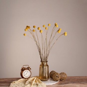 GloboStar® GRASPEDIA 36533 Αποξηραμένο Φυτό Κρασπέδια Φ3cm - Μπουκέτο Διακοσμητικών Κλαδιών Μπεζ - Κίτρινο Υ70cm - Σετ 20 τμχ GloboStar® GRASPEDIA 36533 Αποξηραμένο Φυτό Κρασπέδια Φ3cm - Μπουκέτο Διακοσμητικών Κλαδιών Μπεζ - Κίτρινο Υ70cm - Σετ 20 τμχ