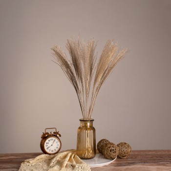 GLOBOSTAR® MISCANTHUS 36535 Αποξηραμένο Διακοσμητικό Μπουκέτο Μίσχανθος - Μπεζ - Μ20 x Π20 x Υ60cm - Πακέτο 20 Τεμαχίων GLOBOSTAR® MISCANTHUS 36535 Αποξηραμένο Διακοσμητικό Μπουκέτο Μίσχανθος - Μπεζ - Μ20 x Π20 x Υ60cm - Πακέτο 20 Τεμαχίων