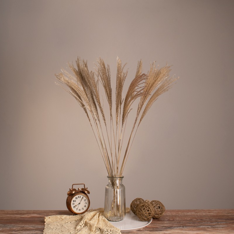 GLOBOSTAR® MISCANTHUS 36536 Αποξηραμένο Διακοσμητικό Μπουκέτο Μίσχανθος - Μπεζ - Μ20 x Π20 x Υ80cm - Πακέτο 20 Τεμαχίων GLOBOSTAR® MISCANTHUS 36536 Αποξηραμένο Διακοσμητικό Μπουκέτο Μίσχανθος - Μπεζ - Μ20 x Π20 x Υ80cm - Πακέτο 20 Τεμαχίων