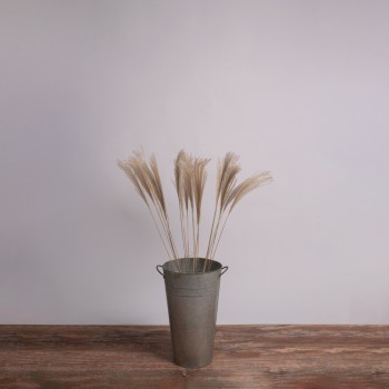 GLOBOSTAR® MISCANTHUS 36537 Αποξηραμένο Διακοσμητικό Μπουκέτο Μίσχανθος - Μπεζ - Μ20 x Π20 x Υ100cm - Πακέτο 20 Τεμαχίων GLOBOSTAR® MISCANTHUS 36537 Αποξηραμένο Διακοσμητικό Μπουκέτο Μίσχανθος - Μπεζ - Μ20 x Π20 x Υ100cm - Πακέτο 20 Τεμαχίων