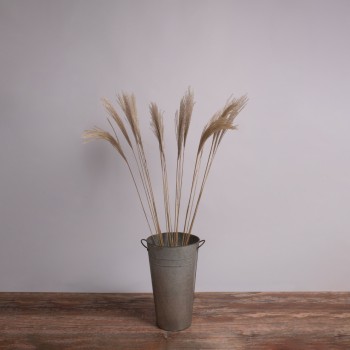 GloboStar® MISCANTHUS 36538 Αποξηραμένο Φυτό Μίσχανθος - Μπουκέτο Διακοσμητικών Κλαδιών Μπεζ Υ120cm - Σετ 10 τμχ GloboStar® MISCANTHUS 36538 Αποξηραμένο Φυτό Μίσχανθος - Μπουκέτο Διακοσμητικών Κλαδιών Μπεζ Υ120cm - Σετ 10 τμχ