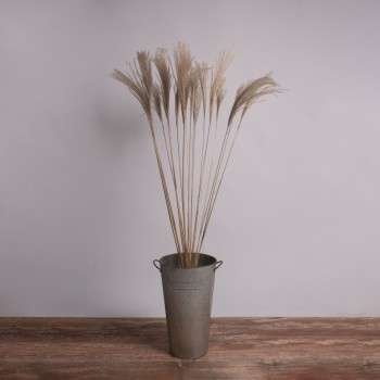 GloboStar® MISCANTHUS 36539 Αποξηραμένο Φυτό Μίσχανθος - Μπουκέτο Διακοσμητικών Κλαδιών Μπεζ Υ140cm - Σετ 10 τμχ GloboStar® MISCANTHUS 36539 Αποξηραμένο Φυτό Μίσχανθος - Μπουκέτο Διακοσμητικών Κλαδιών Μπεζ Υ140cm - Σετ 10 τμχ