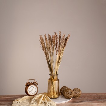 GloboStar® BROOMCORN 36540 Αποξηραμένο Φυτό Γλυκό Σόργο - Μπουκέτο Διακοσμητικών Κλαδιών Μπεζ - Καφέ Υ60cm - Σετ 20 τμχ GloboStar® BROOMCORN 36540 Αποξηραμένο Φυτό Γλυκό Σόργο - Μπουκέτο Διακοσμητικών Κλαδιών Μπεζ - Καφέ Υ60cm - Σετ 20 τμχ