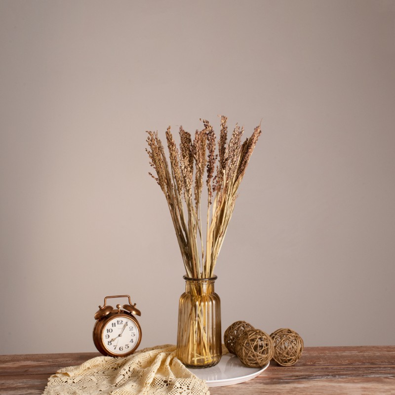 GloboStar® BROOMCORN 36540 Αποξηραμένο Φυτό Γλυκό Σόργο - Μπουκέτο Διακοσμητικών Κλαδιών Μπεζ - Καφέ Υ60cm - Σετ 20 τμχ GloboStar® BROOMCORN 36540 Αποξηραμένο Φυτό Γλυκό Σόργο - Μπουκέτο Διακοσμητικών Κλαδιών Μπεζ - Καφέ Υ60cm - Σετ 20 τμχ