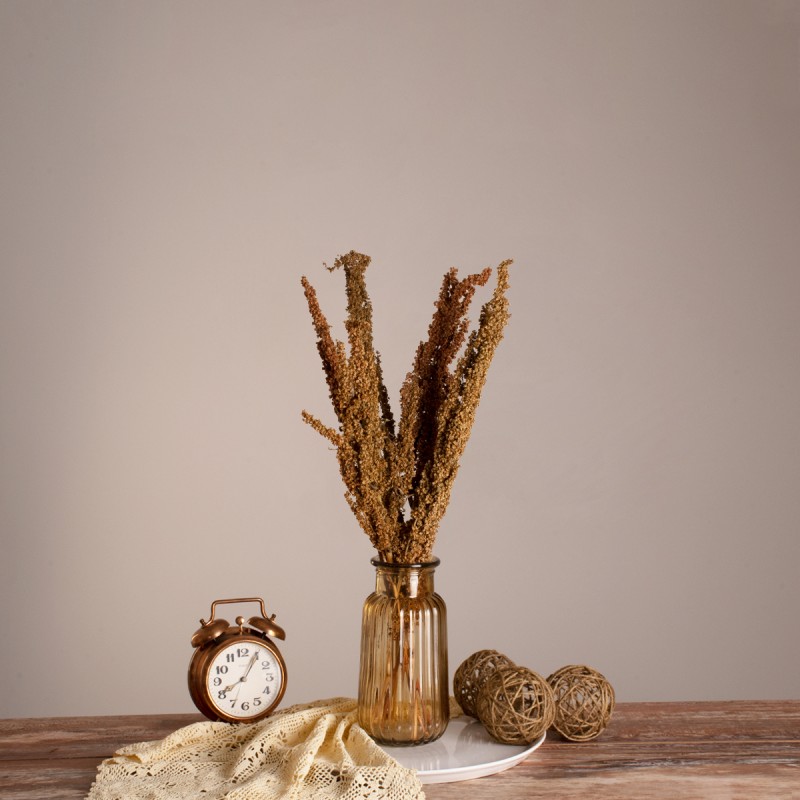 GloboStar® CURLYDOCK 36541 Αποξηραμένο Φυτό Αγριολάπαθο - Μπουκέτο Διακοσμητικών Κλαδιών Μπεζ - Καφέ Υ60cm - Σετ 8 τμχ GloboStar® CURLYDOCK 36541 Αποξηραμένο Φυτό Αγριολάπαθο - Μπουκέτο Διακοσμητικών Κλαδιών Μπεζ - Καφέ Υ60cm - Σετ 8 τμχ