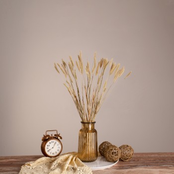 GloboStar® FOUNTAINGRASS 36542 Αποξηραμένο Φυτό Πεννίζετο - Μπουκέτο Διακοσμητικών Κλαδιών Μπεζ - Πράσινο Υ60cm - Σετ 50 τμχ GloboStar® FOUNTAINGRASS 36542 Αποξηραμένο Φυτό Πεννίζετο - Μπουκέτο Διακοσμητικών Κλαδιών Μπεζ - Πράσινο Υ60cm - Σετ 50 τμχ