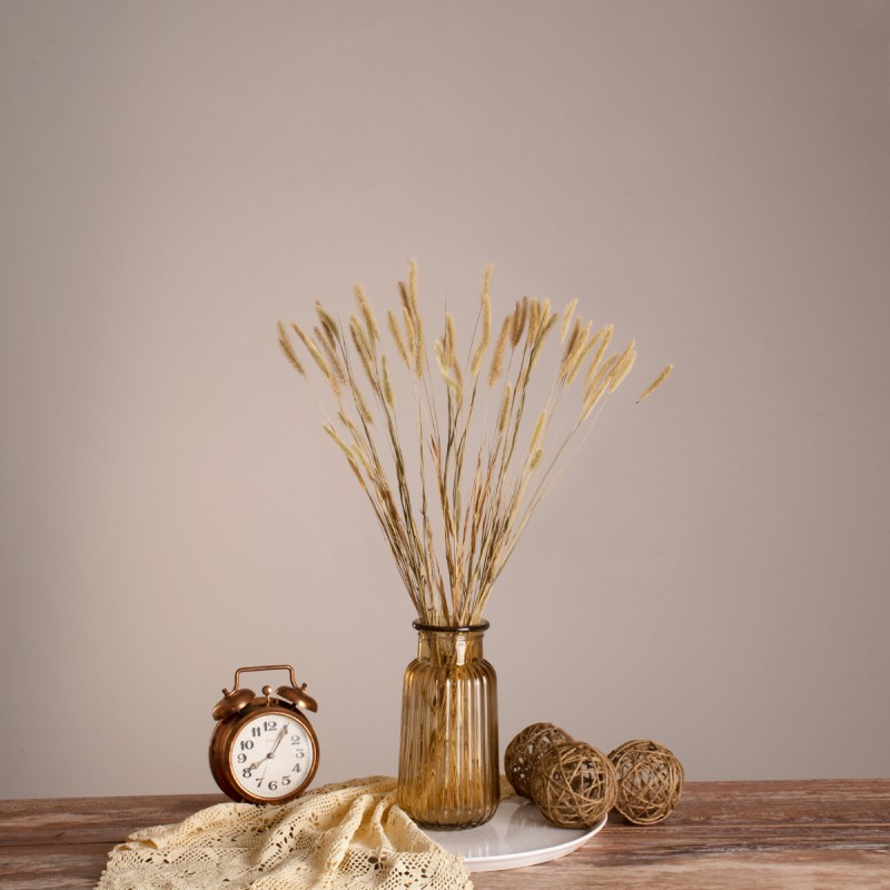 GloboStar® FOUNTAINGRASS 36542 Αποξηραμένο Φυτό Πεννίζετο - Μπουκέτο Διακοσμητικών Κλαδιών Μπεζ - Πράσινο Υ60cm - Σετ 50 τμχ