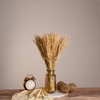 GloboStar® WILDOAT 36543 Αποξηραμένο Φυτό Αγριοβρώμη - Μπουκέτο Διακοσμητικών Κλαδιών Μπεζ Υ60cm - Σετ 100 τμχ