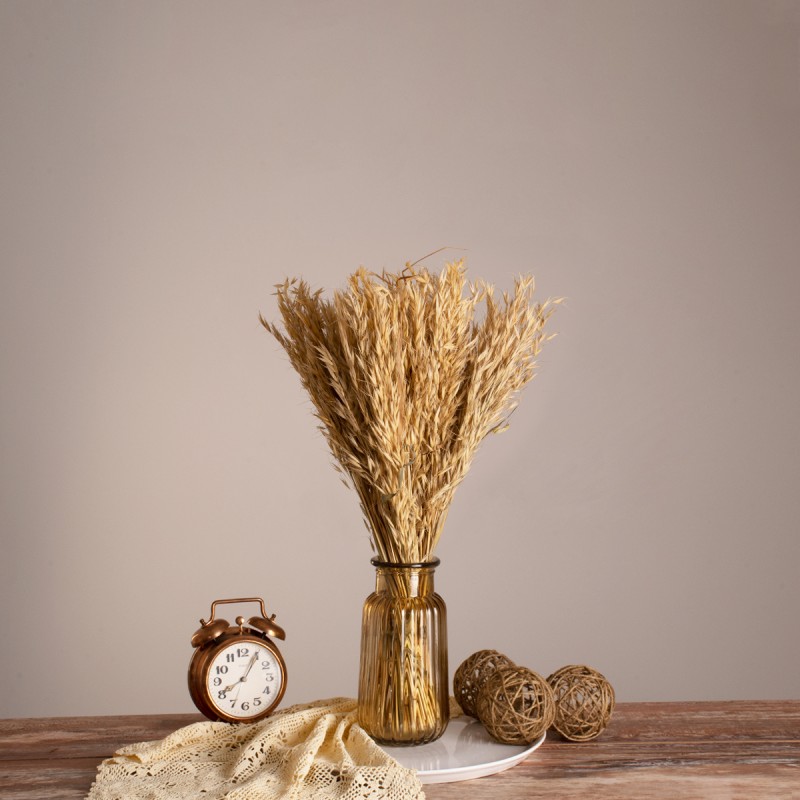 GloboStar® WILDOAT 36543 Αποξηραμένο Φυτό Αγριοβρώμη - Μπουκέτο Διακοσμητικών Κλαδιών Μπεζ Υ60cm - Σετ 100 τμχ GloboStar® WILDOAT 36543 Αποξηραμένο Φυτό Αγριοβρώμη - Μπουκέτο Διακοσμητικών Κλαδιών Μπεζ Υ60cm - Σετ 100 τμχ