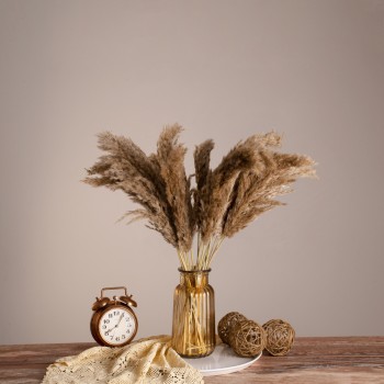 GLOBOSTAR® PAMPASGRASS 36544 Αποξηραμένο Διακοσμητικό Μπουκέτο Γρασίδι της Πάμπας - Μπεζ & Καφέ - Μ20 x Π20 x Υ60cm - Πακέτο 20 Τεμαχίων GLOBOSTAR® PAMPASGRASS 36544 Αποξηραμένο Διακοσμητικό Μπουκέτο Γρασίδι της Πάμπας - Μπεζ & Καφέ - Μ20 x Π20 x Υ60cm - Πακέτο 20 Τεμαχίων