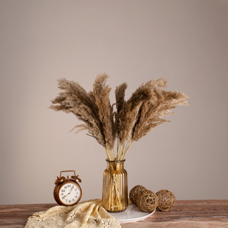 GLOBOSTAR® PAMPASGRASS 36544 Αποξηραμένο Διακοσμητικό Μπουκέτο Γρασίδι της Πάμπας - Μπεζ & Καφέ - Μ20 x Π20 x Υ60cm - Πακέτο 20 Τεμαχίων GLOBOSTAR® PAMPASGRASS 36544 Αποξηραμένο Διακοσμητικό Μπουκέτο Γρασίδι της Πάμπας - Μπεζ & Καφέ - Μ20 x Π20 x Υ60cm - Πακέτο 20 Τεμαχίων
