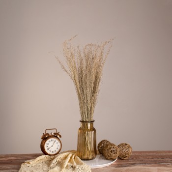 GloboStar® SILVERHAIRGRASS 36545 Αποξηραμένο Φυτό Ασημένια Χλόη - Μπουκέτο Διακοσμητικών Κλαδιών Μπεζ Υ60cm - Σετ 100 τμχ GloboStar® SILVERHAIRGRASS 36545 Αποξηραμένο Φυτό Ασημένια Χλόη - Μπουκέτο Διακοσμητικών Κλαδιών Μπεζ Υ60cm - Σετ 100 τμχ