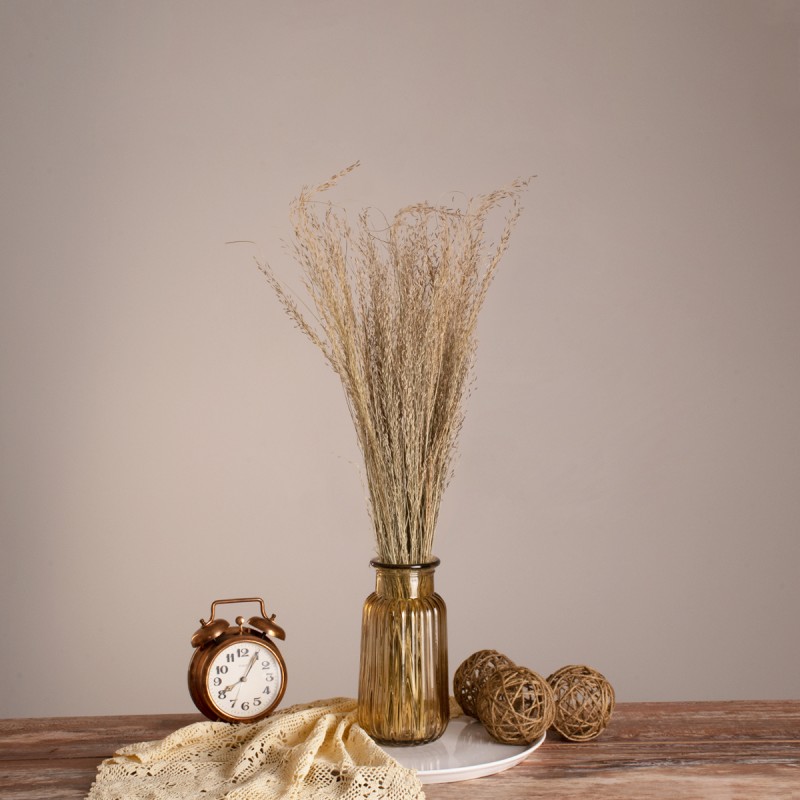 GloboStar® SILVERHAIRGRASS 36545 Αποξηραμένο Φυτό Ασημένια Χλόη - Μπουκέτο Διακοσμητικών Κλαδιών Μπεζ Υ60cm - Σετ 100 τμχ GloboStar® SILVERHAIRGRASS 36545 Αποξηραμένο Φυτό Ασημένια Χλόη - Μπουκέτο Διακοσμητικών Κλαδιών Μπεζ Υ60cm - Σετ 100 τμχ