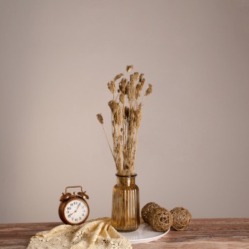 GloboStar® WILDCARROT 36546 Αποξηραμένο Φυτό Άγριο Καρότο - Μπουκέτο Διακοσμητικών Κλαδιών Μπεζ Υ60cm - Σετ 10 τμχ GloboStar® WILDCARROT 36546 Αποξηραμένο Φυτό Άγριο Καρότο - Μπουκέτο Διακοσμητικών Κλαδιών Μπεζ Υ60cm - Σετ 10 τμχ