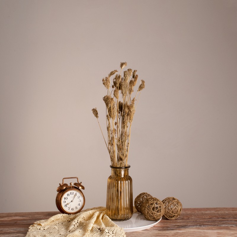 GloboStar® WILDCARROT 36546 Αποξηραμένο Φυτό Άγριο Καρότο - Μπουκέτο Διακοσμητικών Κλαδιών Μπεζ Υ60cm - Σετ 10 τμχ GloboStar® WILDCARROT 36546 Αποξηραμένο Φυτό Άγριο Καρότο - Μπουκέτο Διακοσμητικών Κλαδιών Μπεζ Υ60cm - Σετ 10 τμχ