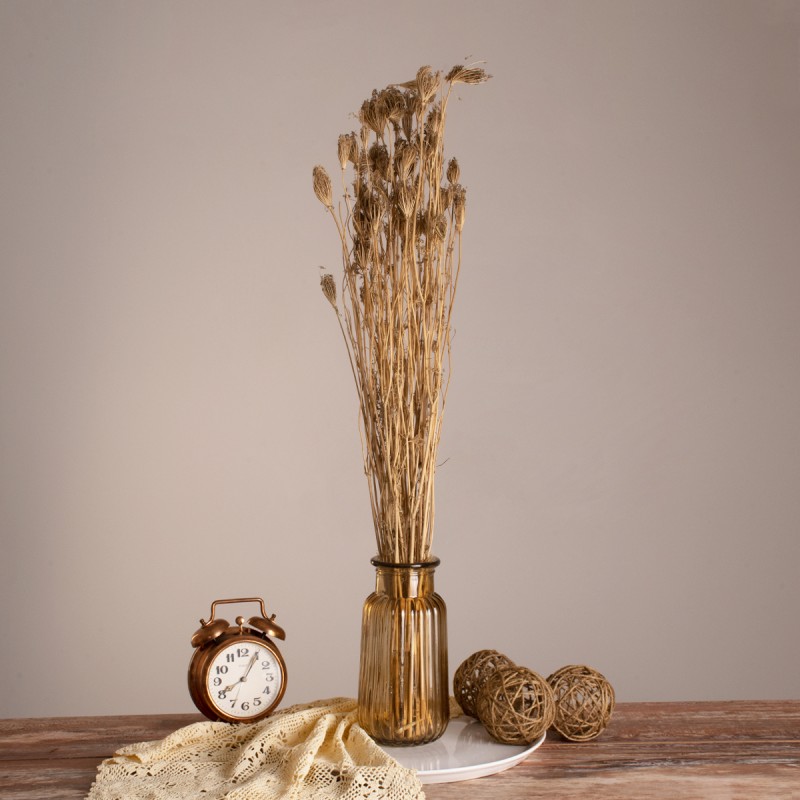 GloboStar® WILDCARROT 36547 Αποξηραμένο Φυτό Άγριο Καρότο - Μπουκέτο Διακοσμητικών Κλαδιών Μπεζ Υ80cm - Σετ 10 τμχ GloboStar® WILDCARROT 36547 Αποξηραμένο Φυτό Άγριο Καρότο - Μπουκέτο Διακοσμητικών Κλαδιών Μπεζ Υ80cm - Σετ 10 τμχ