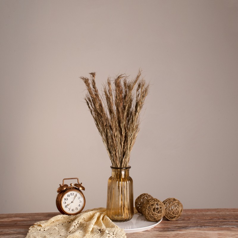 GloboStar® COLATAI 36549 Αποξηραμένο Φυτό Εράγρωστις - Μπουκέτο Διακοσμητικών Κλαδιών Μπεζ - Καφέ Υ60cm - Σετ 50 τμχ GloboStar® COLATAI 36549 Αποξηραμένο Φυτό Εράγρωστις - Μπουκέτο Διακοσμητικών Κλαδιών Μπεζ - Καφέ Υ60cm - Σετ 50 τμχ