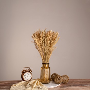 GloboStar® WHEAT 36550 Αποξηραμένο Φυτό Σίτος - Μπουκέτο Διακοσμητικών Κλαδιών Μπεζ Υ60cm - Σετ 100 τμχ GloboStar® WHEAT 36550 Αποξηραμένο Φυτό Σίτος - Μπουκέτο Διακοσμητικών Κλαδιών Μπεζ Υ60cm - Σετ 100 τμχ