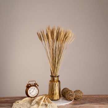 GLOBOSTAR® BARLEY 36551 Αποξηραμένο Διακοσμητικό Μπουκέτο Κριθάρι - Μπεζ - Μ20 x Π20 x Υ60cm - Πακέτο 100 Τεμαχίων