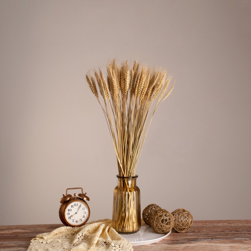 GLOBOSTAR® BARLEY 36551 Αποξηραμένο Διακοσμητικό Μπουκέτο Κριθάρι - Μπεζ - Μ20 x Π20 x Υ60cm - Πακέτο 100 Τεμαχίων GLOBOSTAR® BARLEY 36551 Αποξηραμένο Διακοσμητικό Μπουκέτο Κριθάρι - Μπεζ - Μ20 x Π20 x Υ60cm - Πακέτο 100 Τεμαχίων