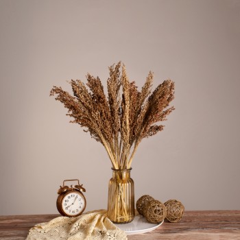 GloboStar® BROOMCORN 36553 Αποξηραμένο Φυτό Γλυκό Σόργο - Μπουκέτο Διακοσμητικών Κλαδιών Καφέ Υ60cm - Σετ 20 τμχ GloboStar® BROOMCORN 36553 Αποξηραμένο Φυτό Γλυκό Σόργο - Μπουκέτο Διακοσμητικών Κλαδιών Καφέ Υ60cm - Σετ 20 τμχ