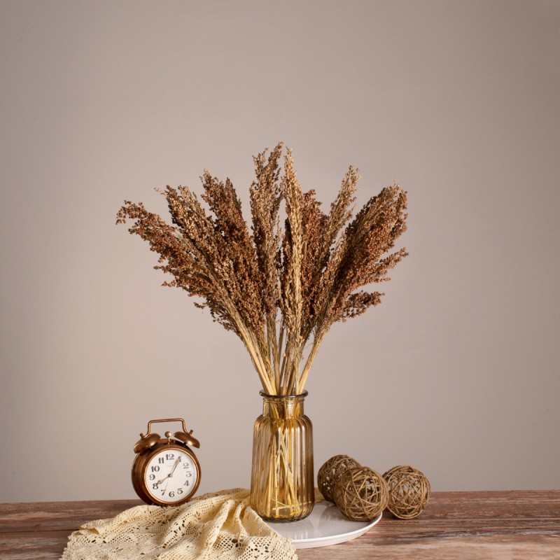 GloboStar® BROOMCORN 36553 Αποξηραμένο Φυτό Γλυκό Σόργο - Μπουκέτο Διακοσμητικών Κλαδιών Καφέ Υ60cm - Σετ 20 τμχ GloboStar® BROOMCORN 36553 Αποξηραμένο Φυτό Γλυκό Σόργο - Μπουκέτο Διακοσμητικών Κλαδιών Καφέ Υ60cm - Σετ 20 τμχ