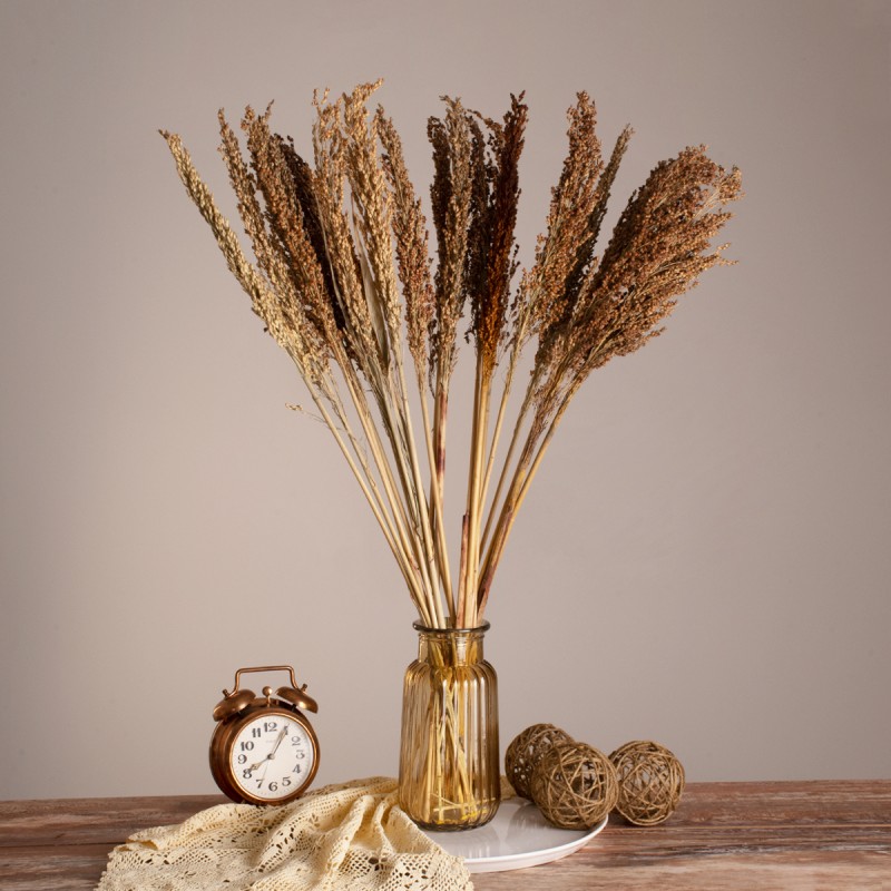GloboStar® BROOMCORN 36554 Αποξηραμένο Φυτό Γλυκό Σόργο - Μπουκέτο Διακοσμητικών Κλαδιών Καφέ Υ80cm - Σετ 20 τμχ GloboStar® BROOMCORN 36554 Αποξηραμένο Φυτό Γλυκό Σόργο - Μπουκέτο Διακοσμητικών Κλαδιών Καφέ Υ80cm - Σετ 20 τμχ