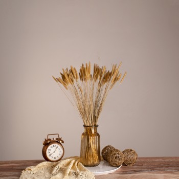 GloboStar® SETARIA 36557 Αποξηραμένο Φυτό Σεταρία - Μπουκέτο Διακοσμητικών Κλαδιών Μπεζ Υ60cm - Σετ 100 τμχ GloboStar® SETARIA 36557 Αποξηραμένο Φυτό Σεταρία - Μπουκέτο Διακοσμητικών Κλαδιών Μπεζ Υ60cm - Σετ 100 τμχ