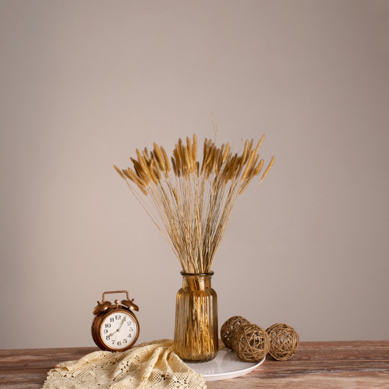 GloboStar® SETARIA 36557 Αποξηραμένο Φυτό Σεταρία - Μπουκέτο Διακοσμητικών Κλαδιών Μπεζ Υ60cm - Σετ 100 τμχ GloboStar® SETARIA 36557 Αποξηραμένο Φυτό Σεταρία - Μπουκέτο Διακοσμητικών Κλαδιών Μπεζ Υ60cm - Σετ 100 τμχ