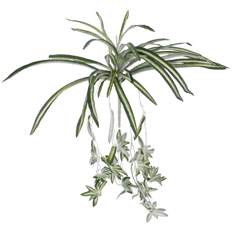 GloboStar® SPIDER PLANT 78217 Τεχνητό Φυτό Χλωρόφυτο - Μπουκέτο Διακοσμητικών Φυτών - Κλαδιών με Φύλλωμα Πράσινο - Κίτρινο - Λευκό Υ60cm GloboStar® SPIDER PLANT 78217 Τεχνητό Φυτό Χλωρόφυτο - Μπουκέτο Διακοσμητικών Φυτών - Κλαδιών με Φύλλωμα Πράσινο - Κίτρινο - Λευκό Υ60cm