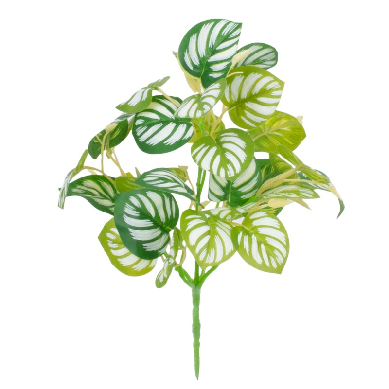 GloboStar® PEPEROMIA L.GREEN 78220 Τεχνητό Φυτό Πεπερόμια Αν.Πρ. - Μπουκέτο Διακοσμητικών Φυτών - Κλαδιών με Φύλλωμα Πράσινο - Κίτρινο - Λευκό Υ28cm GloboStar® PEPEROMIA L.GREEN 78220 Τεχνητό Φυτό Πεπερόμια Αν.Πρ. - Μπουκέτο Διακοσμητικών Φυτών - Κλαδιών με Φύλλωμα Πράσινο - Κίτρινο - Λευκό Υ28cm