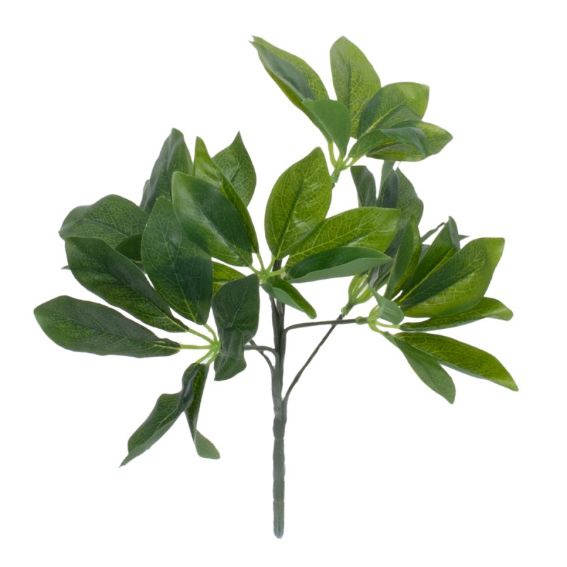 GloboStar® SCHEFFLERA 78222 Τεχνητό Φυτό Σεφλέρα - Μπουκέτο Διακοσμητικών Φυτών - Κλαδιών με Φύλλωμα Πράσινο Υ30cm GloboStar® SCHEFFLERA 78222 Τεχνητό Φυτό Σεφλέρα - Μπουκέτο Διακοσμητικών Φυτών - Κλαδιών με Φύλλωμα Πράσινο Υ30cm