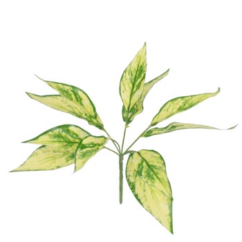 GloboStar® AUCUBA 78223 Τεχνητό Φυτό Κηληδωμένη Δάφνη - Μπουκέτο Διακοσμητικών Φυτών - Κλαδιών με Φύλλωμα Πράσινο - Κίτρινο Υ25cm