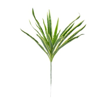 GloboStar® GREEN DRACAENA 78233 Τεχνητό Φυτό Δράκαινα Πράσινη - Μπουκέτο Διακοσμητικών Φυτών - Κλαδιών με Φύλλωμα Πράσινο Υ47cm GloboStar® GREEN DRACAENA 78233 Τεχνητό Φυτό Δράκαινα Πράσινη - Μπουκέτο Διακοσμητικών Φυτών - Κλαδιών με Φύλλωμα Πράσινο Υ47cm