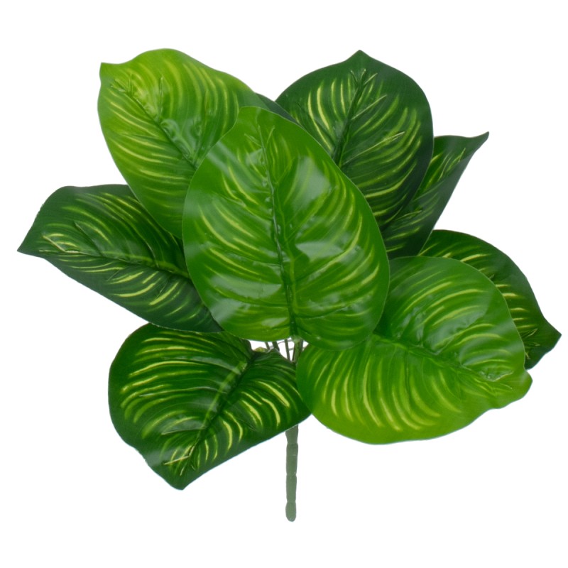 GloboStar® CANNA 78262 Τεχνητό Φυτό Κάννα - Μπουκέτο Διακοσμητικών Φυτών - Κλαδιών με Φύλλωμα Πράσινο Υ30cm GloboStar® CANNA 78262 Τεχνητό Φυτό Κάννα - Μπουκέτο Διακοσμητικών Φυτών - Κλαδιών με Φύλλωμα Πράσινο Υ30cm