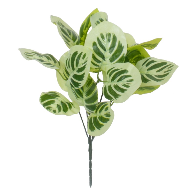 GloboStar® WHITE PEPEROMIA 78276 Τεχνητό Φυτό Πεπερόμια Λευκή - Μπουκέτο Διακοσμητικών Φυτών - Κλαδιών με Φύλλωμα Πράσινο - Λευκό Υ33cm GloboStar® WHITE PEPEROMIA 78276 Τεχνητό Φυτό Πεπερόμια Λευκή - Μπουκέτο Διακοσμητικών Φυτών - Κλαδιών με Φύλλωμα Πράσινο - Λευκό Υ33cm