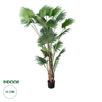 GloboStar® Artificial Garden PALM TREE 20014 Τεχνητό Διακοσμητικό Φυτό Φοινικόδεντρο Βεντάλια Υ210cm GloboStar® Artificial Garden PALM TREE 20014 Τεχνητό Διακοσμητικό Φυτό Φοινικόδεντρο Βεντάλια Υ210cm