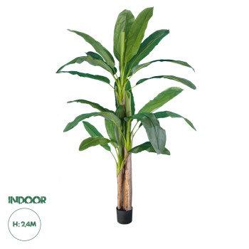GloboStar® Artificial Garden BANANA TREE 20018 - Τεχνητό Διακοσμητικό Φυτό Μπανανιά - Μπανανόδεντρο Υ240cm GloboStar® Artificial Garden BANANA TREE 20018 - Τεχνητό Διακοσμητικό Φυτό Μπανανιά - Μπανανόδεντρο Υ240cm
