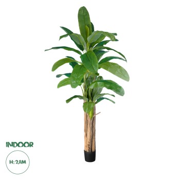 GloboStar® Artificial Garden BANANA TREE 20019 - Τεχνητό Διακοσμητικό Φυτό Μπανανιά - Μπανανόδεντρο Υ280cm GloboStar® Artificial Garden BANANA TREE 20019 - Τεχνητό Διακοσμητικό Φυτό Μπανανιά - Μπανανόδεντρο Υ280cm