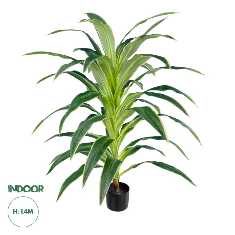 GloboStar® Artificial Garden BRAZILIAN IRON 20020 - Τεχνητό Διακοσμητικό Φυτό Αρωματική Δράκαινα Υ140cm GloboStar® Artificial Garden BRAZILIAN IRON 20020 - Τεχνητό Διακοσμητικό Φυτό Αρωματική Δράκαινα Υ140cm
