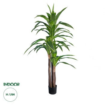 GloboStar® Artificial Garden BRAZILIAN IRON 20021 - Τεχνητό Διακοσμητικό Φυτό Αρωματική Δράκαινα Υ180cm