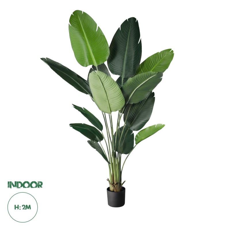 GloboStar® Artificial Garden STRELITZIA 20027 Τεχνητό Διακοσμητικό Φυτό  Στρελίτσια - Πουλί του Παραδείσου Υ200cm GloboStar® Artificial Garden STRELITZIA 20027 Τεχνητό Διακοσμητικό Φυτό  Στρελίτσια - Πουλί του Παραδείσου Υ200cm