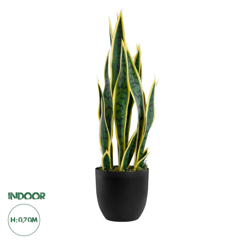 GloboStar® Artificial Garden BLOODLEAF DRACAENA TRIFASCIATA 20060 Τεχνητό Διακοσμητικό Φυτό Αιματόφυλλη Σανσεβιέρια Υ70cm GloboStar® Artificial Garden BLOODLEAF DRACAENA TRIFASCIATA 20060 Τεχνητό Διακοσμητικό Φυτό Αιματόφυλλη Σανσεβιέρια Υ70cm