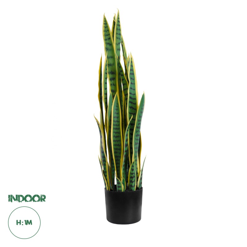 GloboStar® Artificial Garden BLOODLEAF DRACAENA TRIFASCIATA 20062 Τεχνητό Διακοσμητικό Φυτό Αιματόφυλλη Σανσεβιέρια Υ100cm GloboStar® Artificial Garden BLOODLEAF DRACAENA TRIFASCIATA 20062 Τεχνητό Διακοσμητικό Φυτό Αιματόφυλλη Σανσεβιέρια Υ100cm